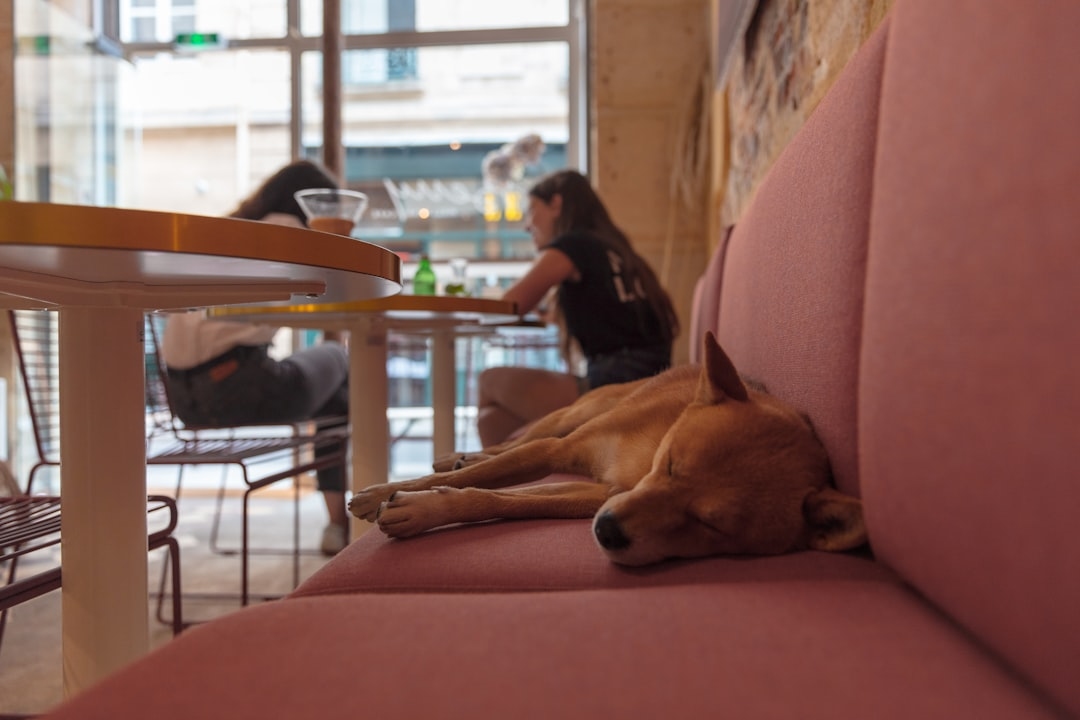 Does Hair of the Dog Actually Work for Hangovers?